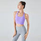 Halter Sports Bra